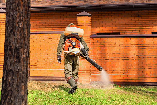 Trusted Bed Bug Control service in Hendersonville, TN - Nex Pest Control